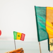 Senegal Vizesi Afyon